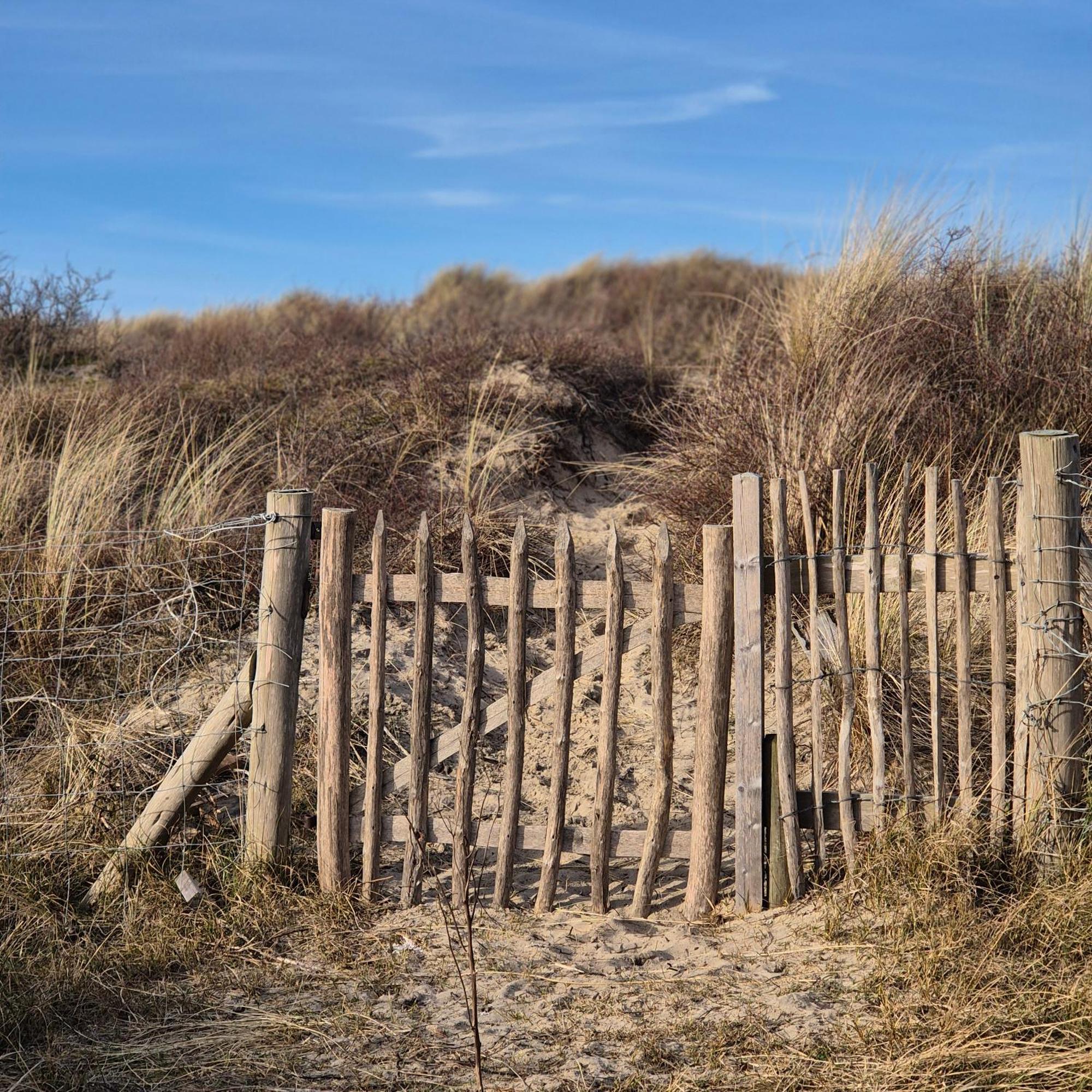 Tiny Villa De Haas Met Infraroodsauna Egmond aan Zee Exterior photo